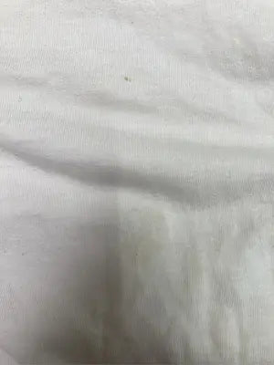FRUIT OF THE LOOM/フルーツオブザルーム/Tシャツ/カットソー/トップス/ブラウン/XL