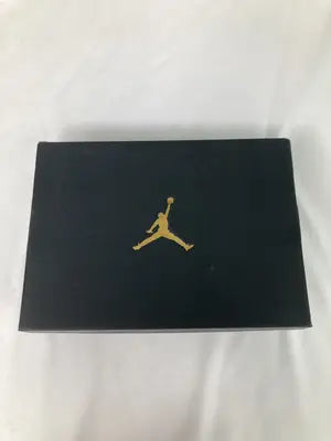 JORDAN AIR/スニーカー/シューズ/グレー/27