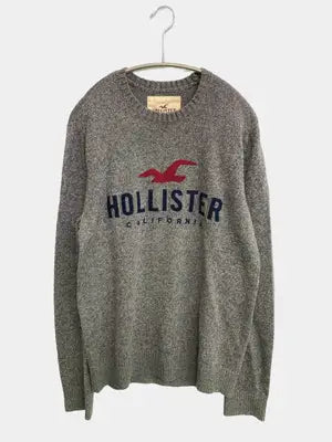 HOLLISTER/ホリスター/ニット/セーター/トップス/グレー/S