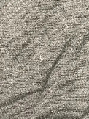 BASIC COTTON/ベーシックコットン/Tシャツ/カットソー/トップス/ブラック/F