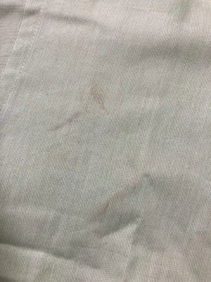 CHAPS/チャップス/シャツ/ブラウス/トップス/ライトグリーン/M