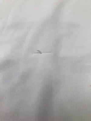claudio pandiani/Tシャツ/カットソー/トップス/ホワイト/S