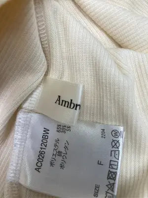 Ambre Ciel/Tシャツ/カットソー/トップス/アイボリー/F