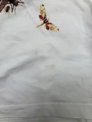 ZARA MAN/ザラマン/Tシャツ/カットソー/トップス/ホワイト/EUR L