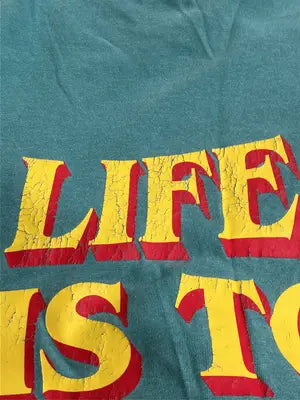 COMFORT COLORS/コンフォートカラーズ/Tシャツ/カットソー/トップス/グリーン/L