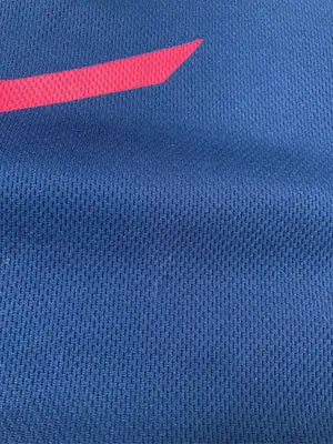 MIZUNO/ミズノ/Tシャツ/カットソー/トップス/ネイビー/L