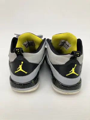 JORDAN/ジョーダン/スニーカー/シューズ/グレー/24.5cm