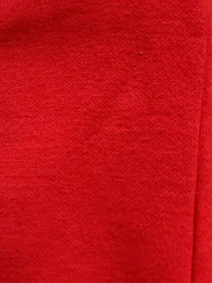 Champion/チャンピオン/パーカー/トップス/レッド/2XL