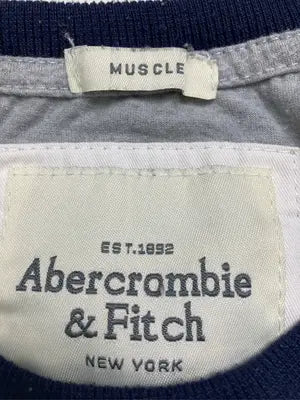 Abercrombie ＆ Fitch/アバクロンビーアンドフィッチ/Tシャツ/カットソー/トップス/グレー/L