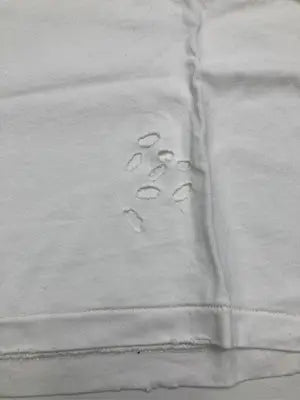 REPRODUCTION/Tシャツ/カットソー/トップス/ホワイト/F