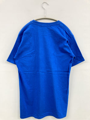 HOUSTON/ヒューストン/Tシャツ/カットソー/トップス/ブルー/M