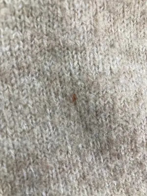MERRILY/メリリー/ニット/セーター/トップス/ベージュ/F
