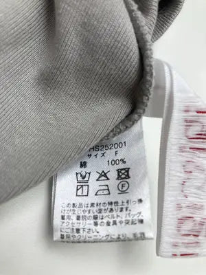 igiigiig/Tシャツ/カットソー/トップス/ベージュ/F