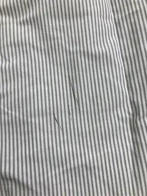 BACK NUMBER/バックナンバー/ビジネスシャツ/トップス/グレー/XL