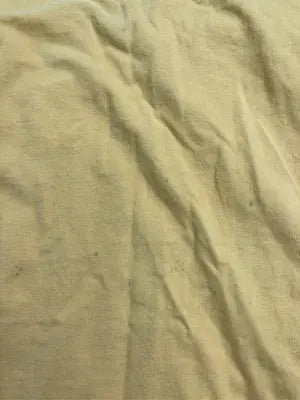 Champion/チャンピオン/Tシャツ/カットソー/トップス/イエロー/M