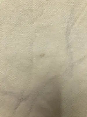 Free Style/フリースタイル/Tシャツ/カットソー/トップス/イエロー/ONE SIZE