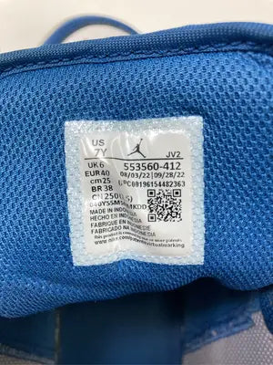 AIR JORDAN/エアジョーダン/スニーカー/シューズ/スカイブルー/25.0cm
