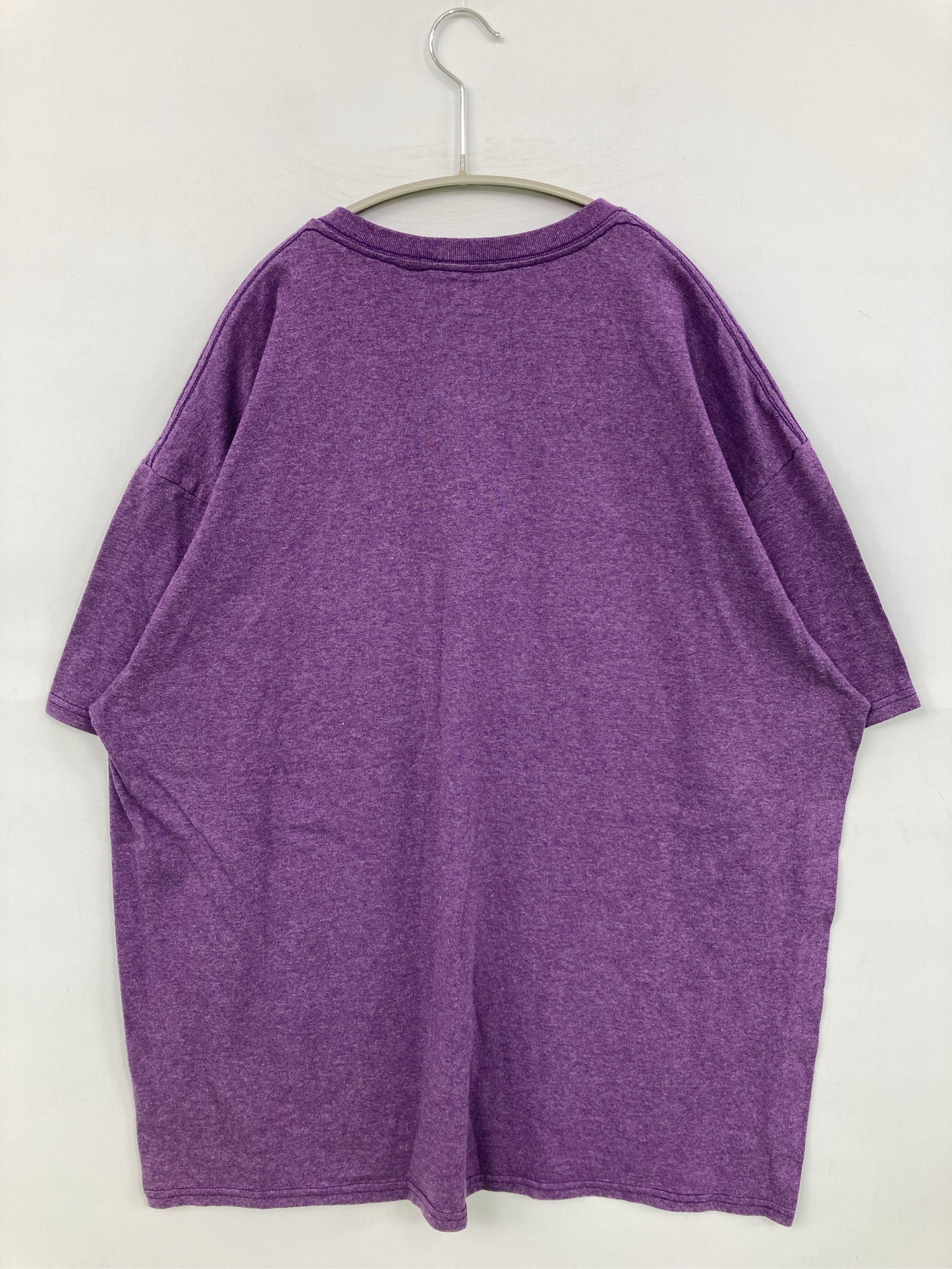 Champion/チャンピオン/Tシャツ/カットソー/トップス/パープル/1XL