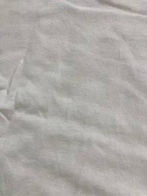 SANTA CRUZ/サンタクルーズ/Tシャツ/カットソー/トップス/ホワイト/L
