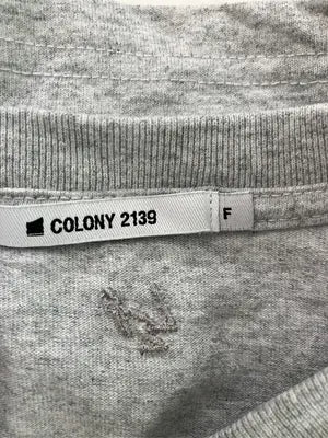 COLONY 2139/コロニートゥーワンスリーナイン/Tシャツ/カットソー/トップス/グレー/F