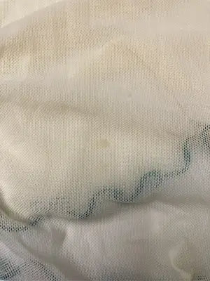 Discoat/ディスコート/Tシャツ/カットソー/トップス/アイボリー/F