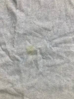niko and .../ニコアンド/Tシャツ/カットソー/トップス/スカイブルー/3