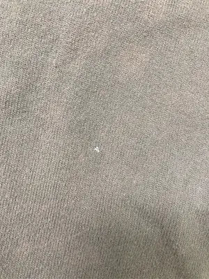 CHAPS RALPH LAUREN/チャップスラルフローレン/Tシャツ/カットソー/トップス/ブラウン/L