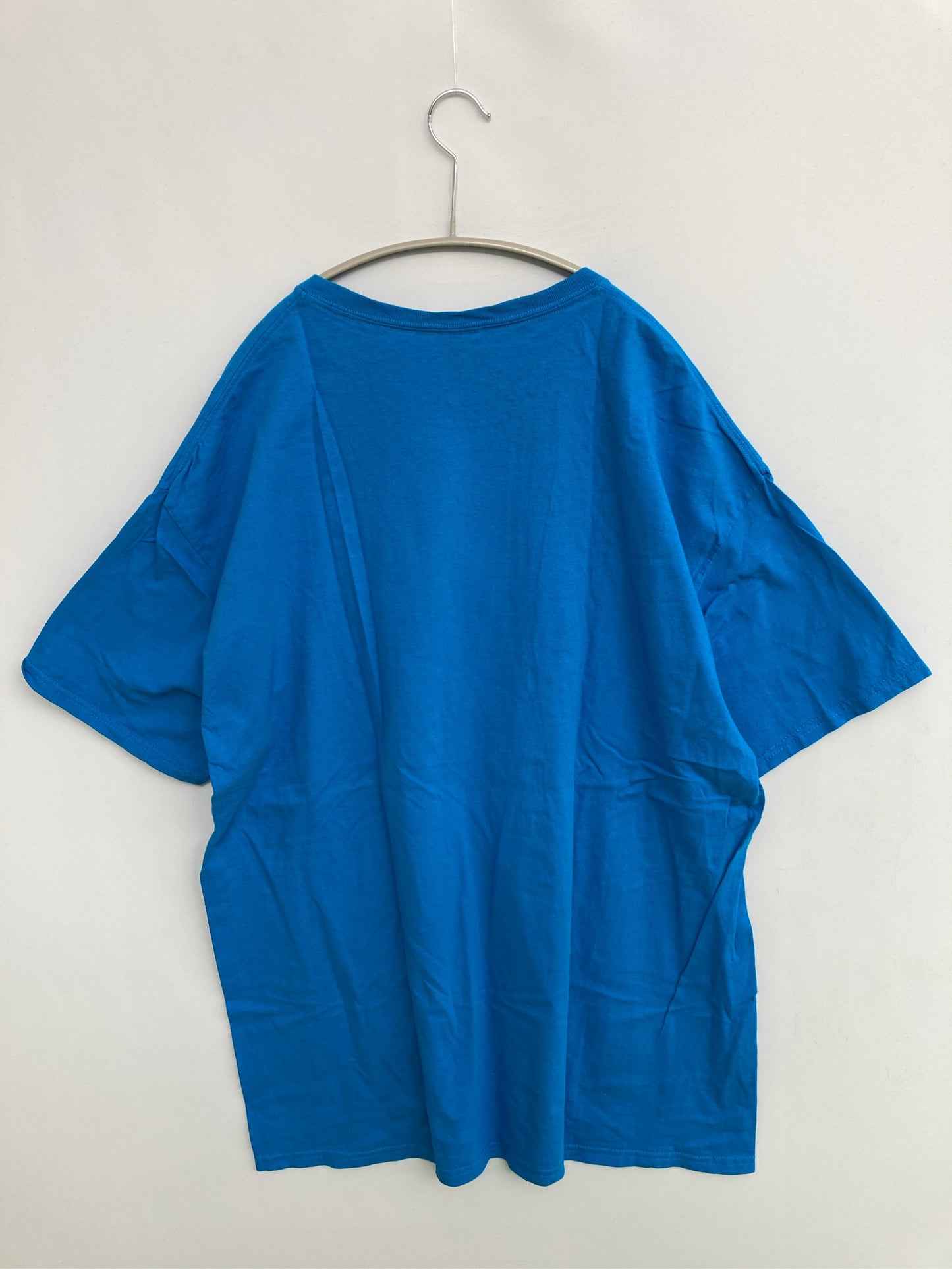 FRUIT OF THE LOOM/フルーツオブザルーム/Tシャツ/カットソー/トップス/ブルー/XL