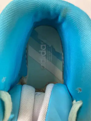adidas/アディダス/スニーカー/シューズ/スカイブルー/JP 230