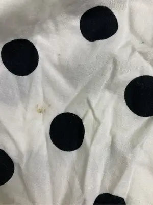 ZARA/ザラ/シャツ/ブラウス/トップス/ホワイト/XS
