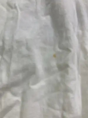 gloster/グロスター/Tシャツ/カットソー/トップス/ホワイト/M