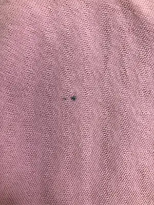 Champion/チャンピオン/Tシャツ/カットソー/トップス/ピンク/MEDIUM