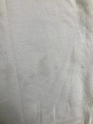 Hanes/ヘインズ/Tシャツ/カットソー/トップス/ホワイト/L