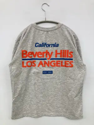 ZARA/ザラ/Tシャツ/カットソー/トップス/グレー/M