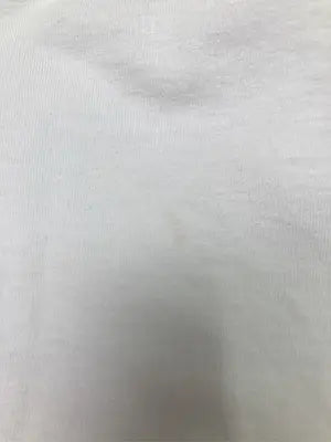 PRO CLUB/Tシャツ/カットソー/トップス/ホワイト/XL