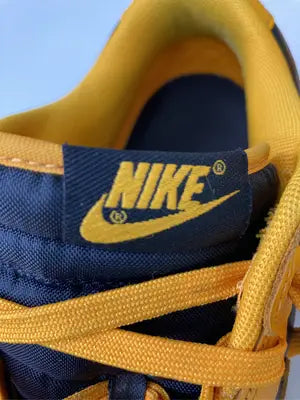 NIKE/ナイキ/スニーカー/シューズ/オレンジ/28cm