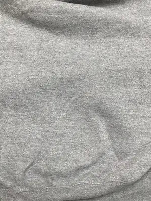 PRO CLUB/パーカー/トップス/グレー/XL