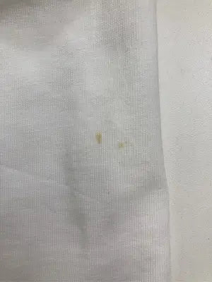 Tシャツ/カットソー/トップス/ホワイト