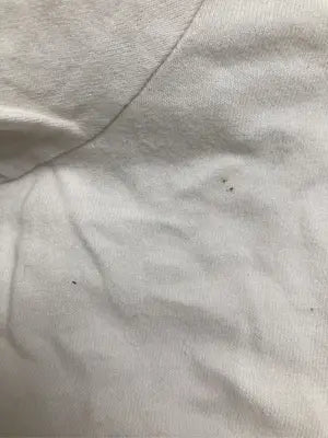 HOLLISTER/ホリスター/Tシャツ/カットソー/トップス/ホワイト/S