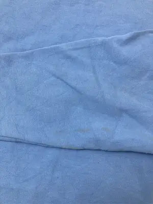 Champion/チャンピオン/スウェット/トップス/スカイブルー/ASIA XL