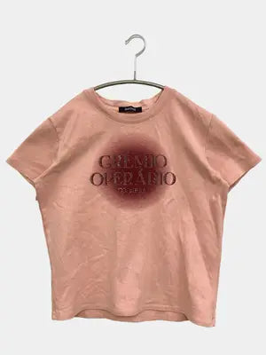 SHAGGIE/シャギー/Tシャツ/カットソー/トップス/ピンク/F