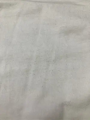 Champion/チャンピオン/Tシャツ/カットソー/トップス/ホワイト/L