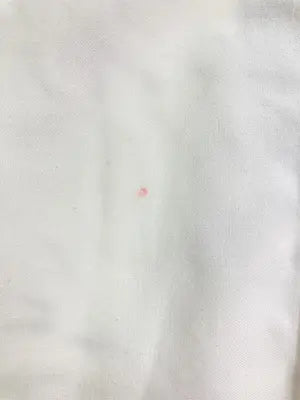 THE WHITE EGG/シャツ/ブラウス/トップス/ホワイト