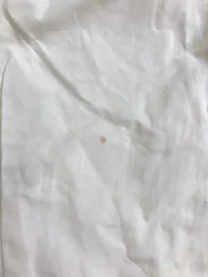 seester hi high/シャツ/ブラウス/トップス/ホワイト