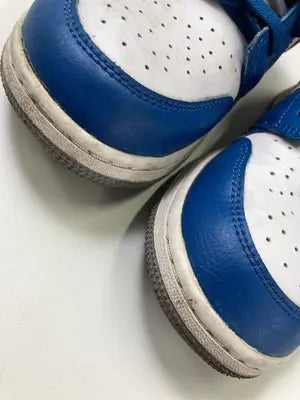 AIR JORDAN/エアジョーダン/スニーカー/シューズ/スカイブルー/25.0cm