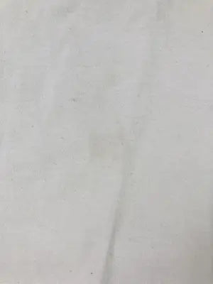 ELEMENT/エレメント/Tシャツ/カットソー/トップス/ホワイト/M