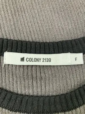 COLONY 2139/コロニートゥーワンスリーナイン/Tシャツ/カットソー/トップス/ブラウン/F
