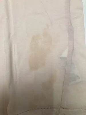 Edwina Horl/Tシャツ/カットソー/トップス/オレンジ
