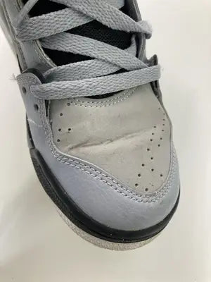 JORDAN/ジョーダン/スニーカー/シューズ/グレー/24.5cm