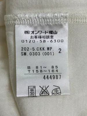 any sis/エニィスィス/シャツ/ブラウス/トップス/アイボリー/2